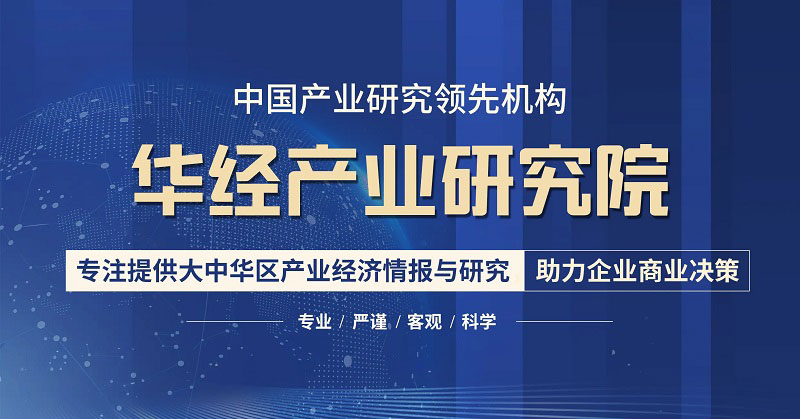 2023-2028年中國電化鋁行業市場全景評估及發展戰略規劃報告 